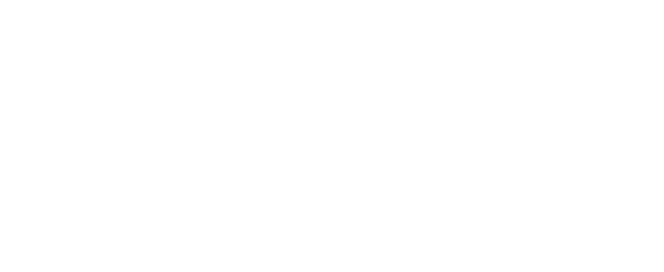 Auto Galery