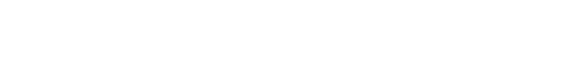 Slovak Assistance