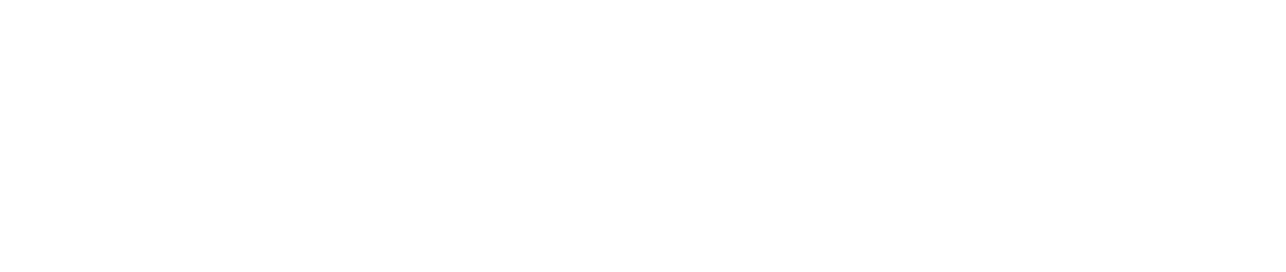 Tidy Servis